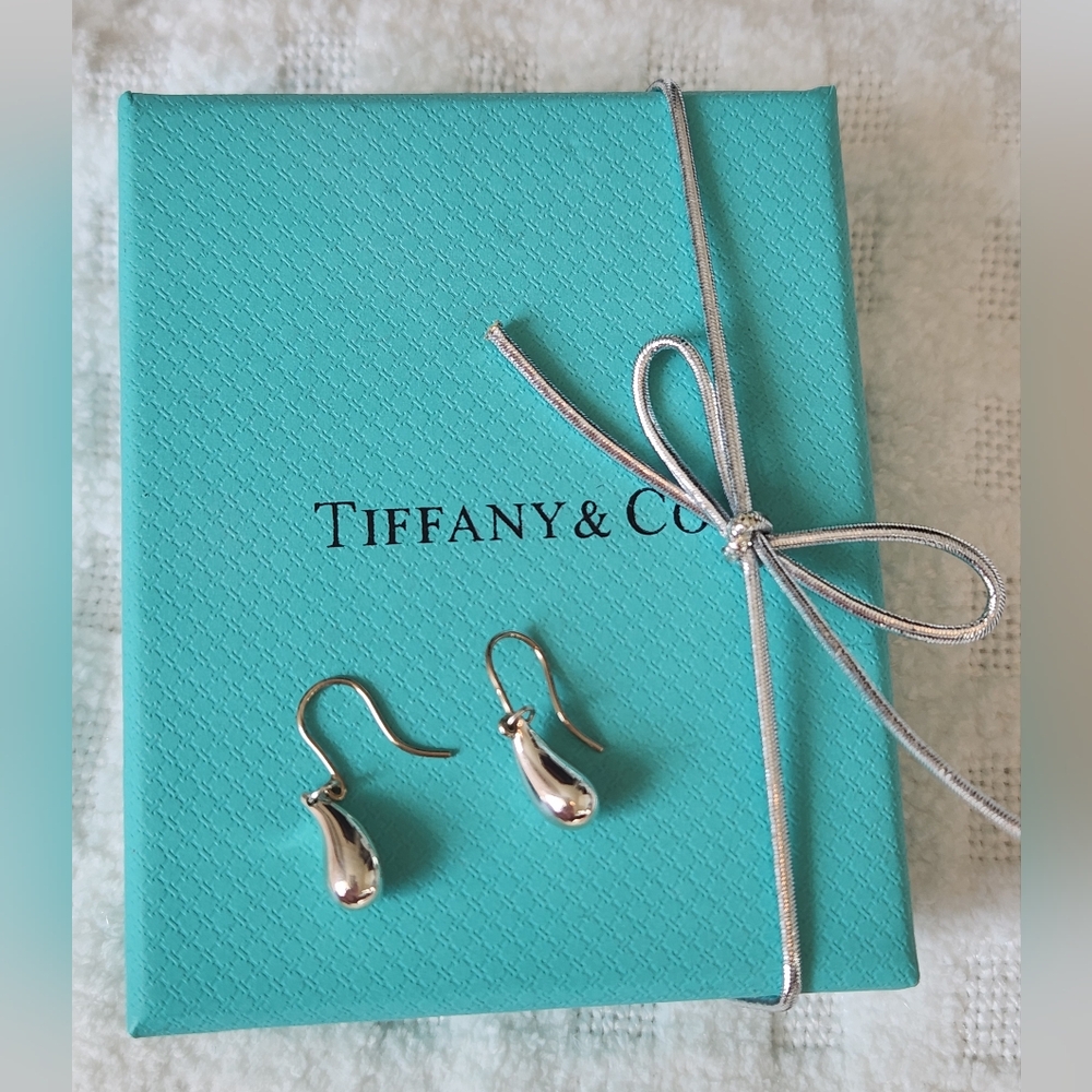 Tiffany & Co. Silver Drop Earrings